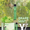 GRAPE MINT